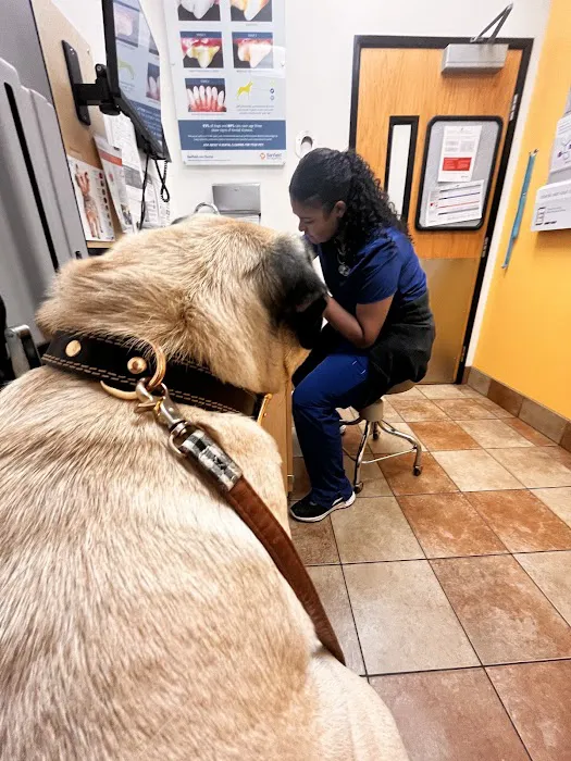 Banfield Pet Hospital Picture 8