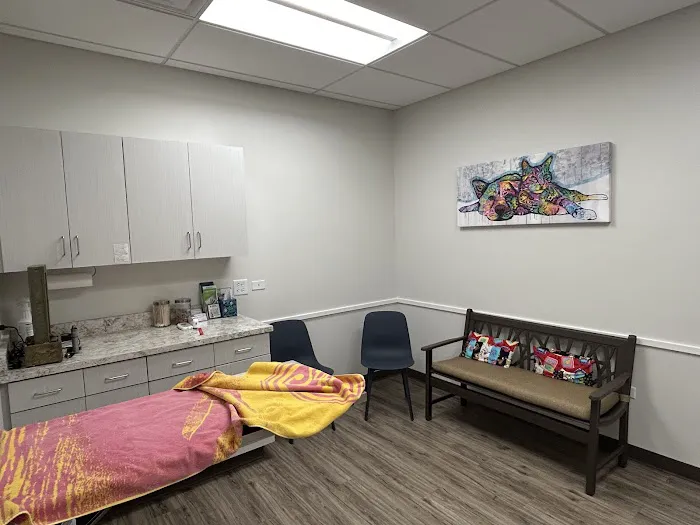Festival Animal Clinic Picture 4
