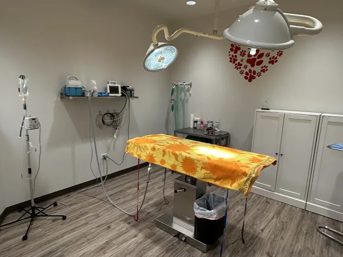 Festival Animal Clinic Picture 10