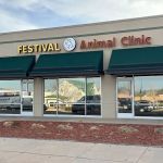 Festival Animal Clinic