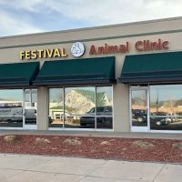 Festival Animal Clinic ico