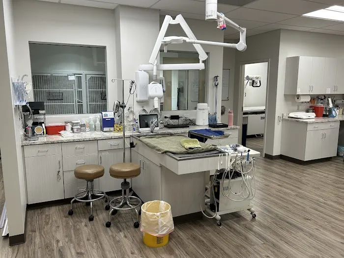 Festival Animal Clinic Picture 9
