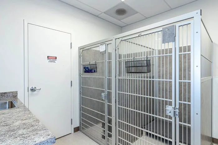 Festival Animal Clinic Picture 6
