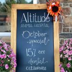 Altitude Animal Hospital