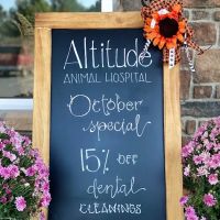 Altitude Animal Hospital ico