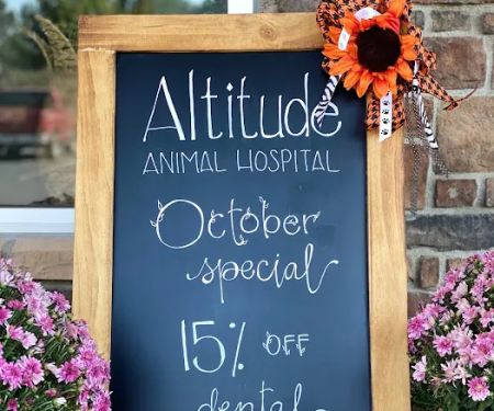 Altitude Animal Hospital