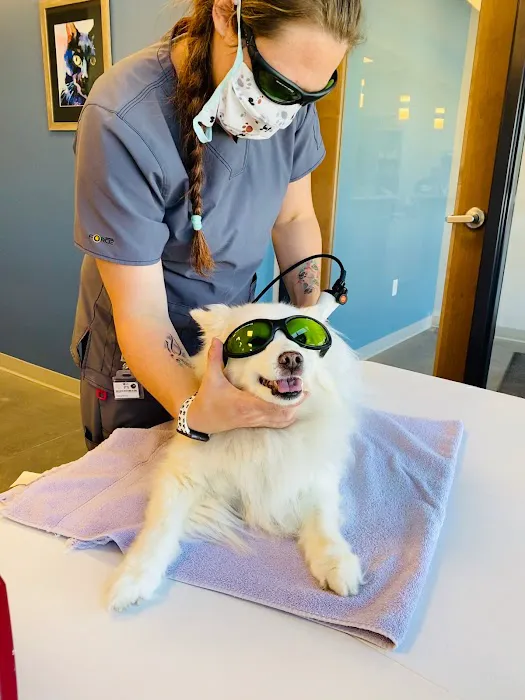 Altitude Animal Hospital Picture 10