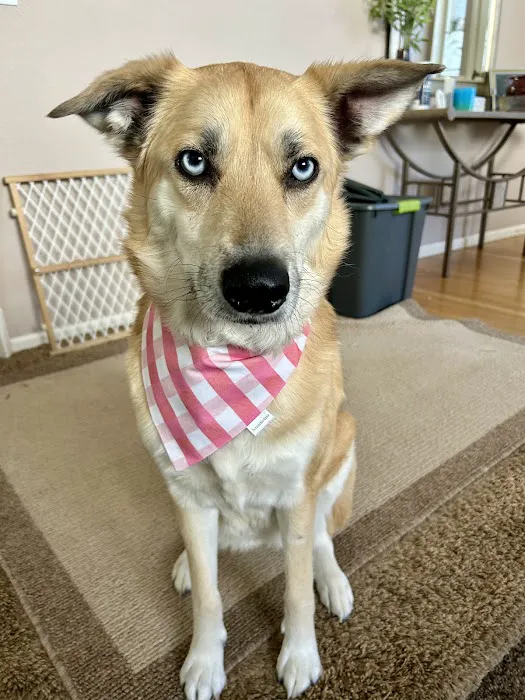 Rocky Mountain Small Animal Hospital Picture 1