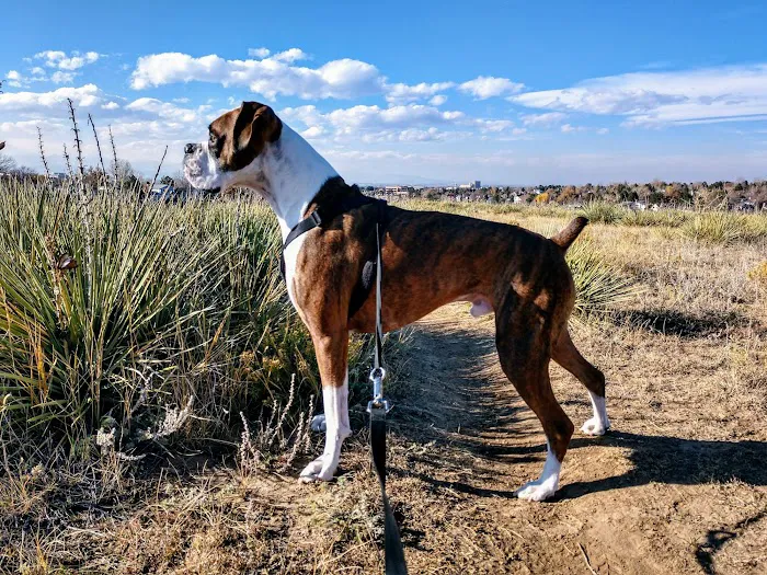 Rocky Mountain Small Animal Hospital Picture 4