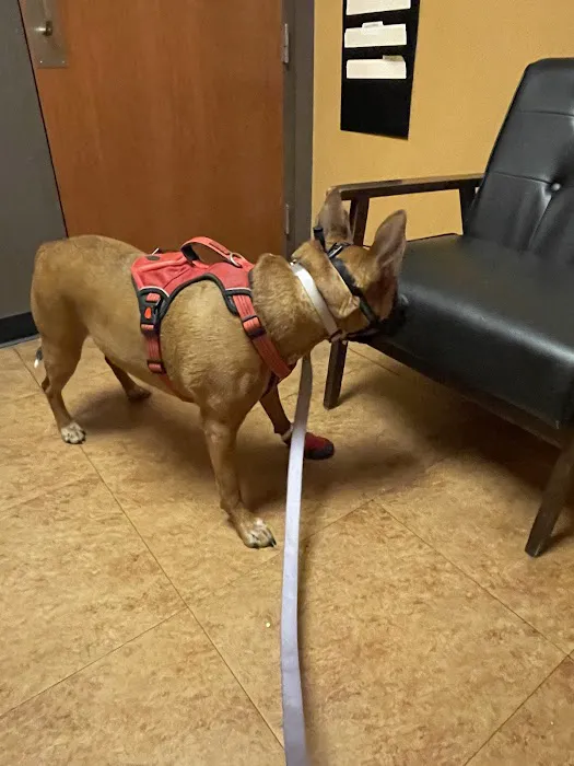 Loving Family Animal Hospital Picture 7
