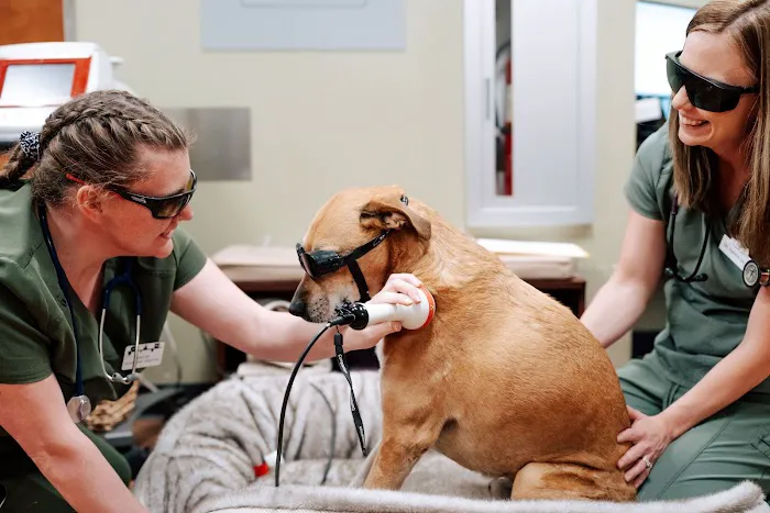 Loving Family Animal Hospital Picture 9