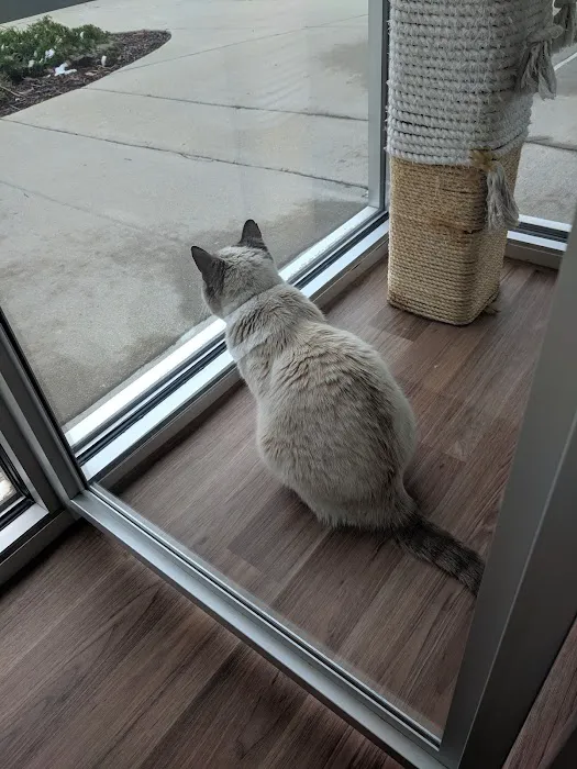 Purrfect Health Cat Hospital Picture 4