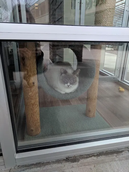 Purrfect Health Cat Hospital Picture 3