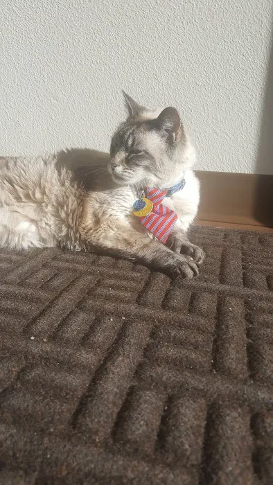 Purrfect Health Cat Hospital Picture 1