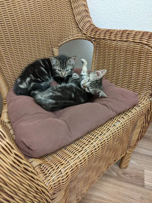 Purrfect Health Cat Hospital Picture 5