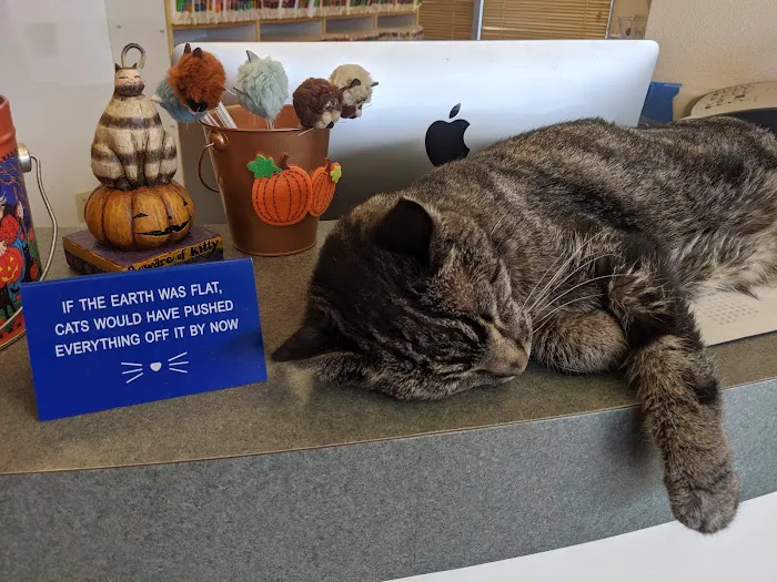 Purrfect Health Cat Hospital Picture 10