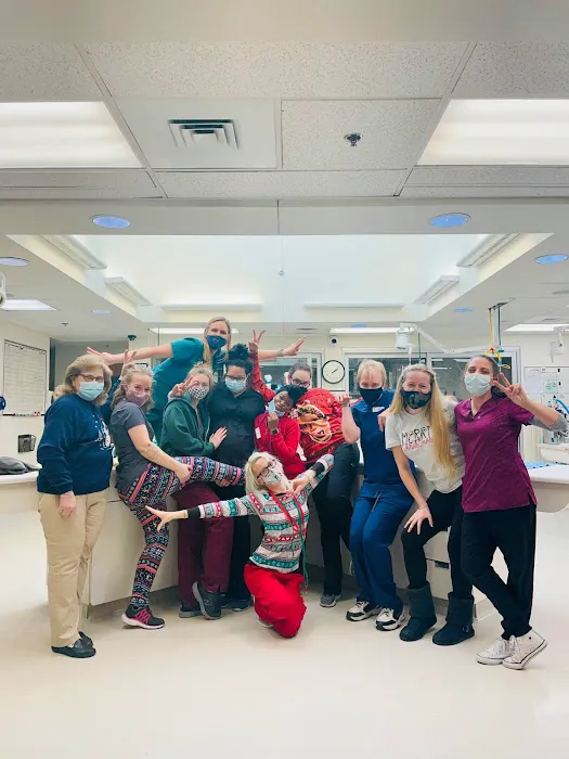 Lone Tree Veterinary Medical Center Picture 10