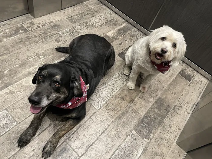 Lone Tree Veterinary Medical Center Picture 7