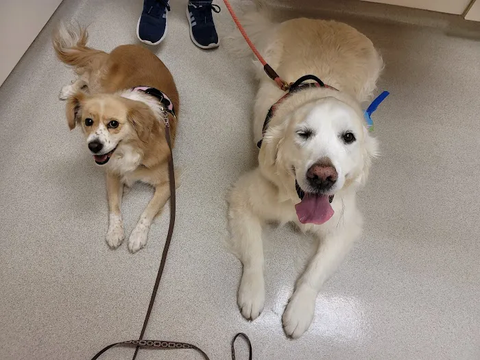 Lone Tree Veterinary Medical Center Picture 6