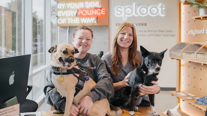 Sploot Veterinary Care - Highlands Ranch Picture 10