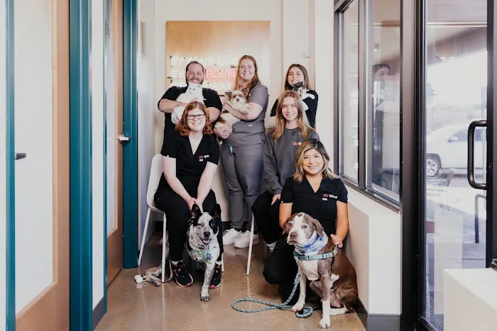Sploot Veterinary Care - Highlands Ranch Picture 2