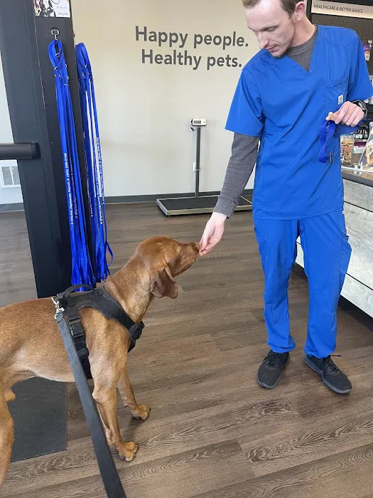 CityVet | Highlands Ranch Veterinary Clinic & Urgent Care Picture 3