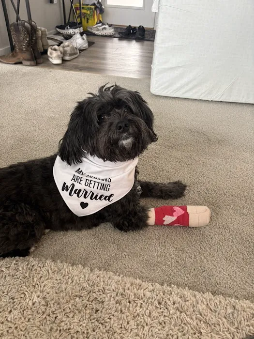 Meridian Animal Hospital Picture 2
