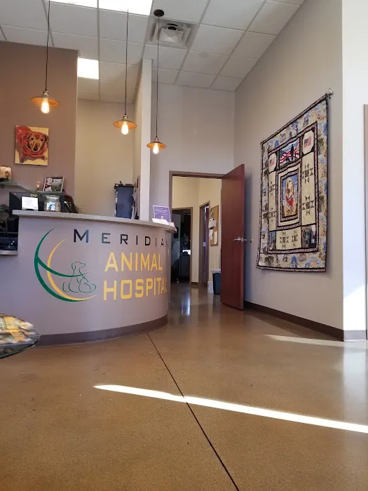 Meridian Animal Hospital Picture 6