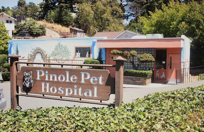 Pinole Pet Hospital Picture 5