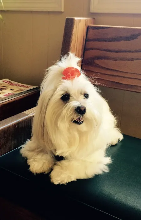 Pinole Pet Hospital Picture 4
