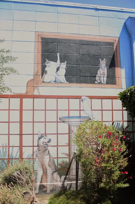 Pinole Pet Hospital Picture 8
