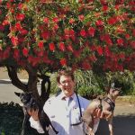 Pinole Pet Hospital