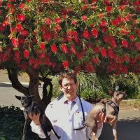 Pinole Pet Hospital ico