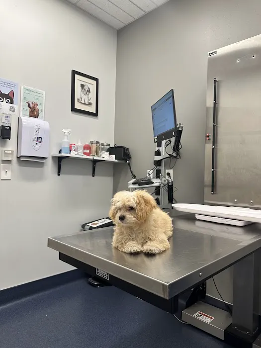 Hercules Pet Hospital Picture 8