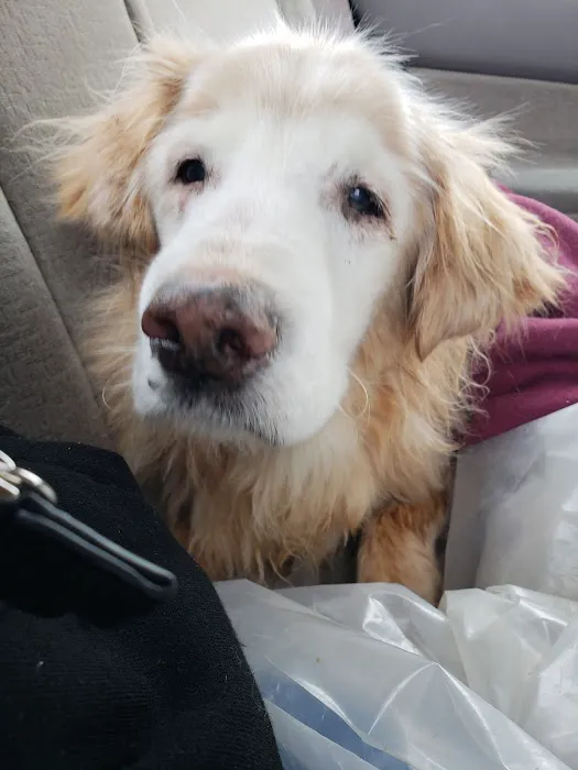 Corydon Animal Hospital Picture 4