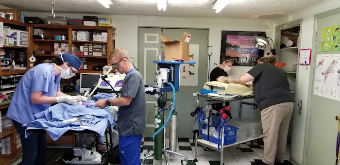 Corydon Animal Hospital Picture 7