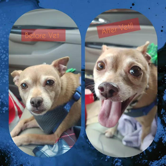 Corydon Animal Hospital Picture 1