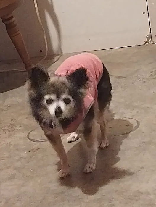 Corydon Animal Hospital Picture 3