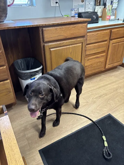 Corydon Animal Hospital Picture 5