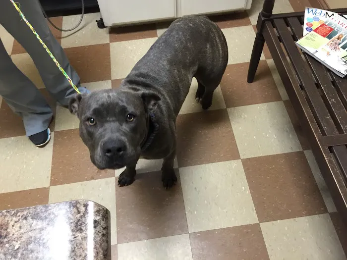 Elk Creek Animal Hospital Picture 3