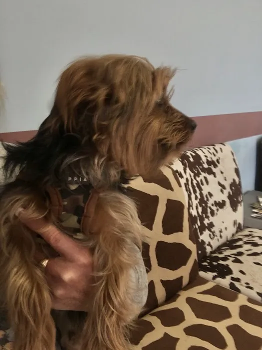Salt River Animal Hospital Picture 8