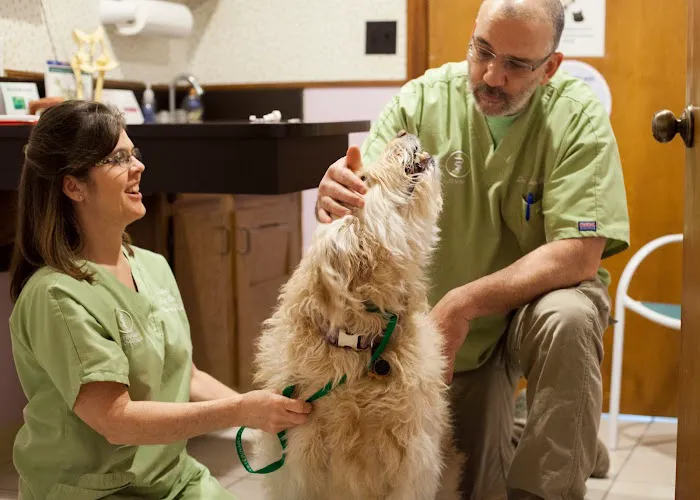 Salt River Animal Hospital Picture 7