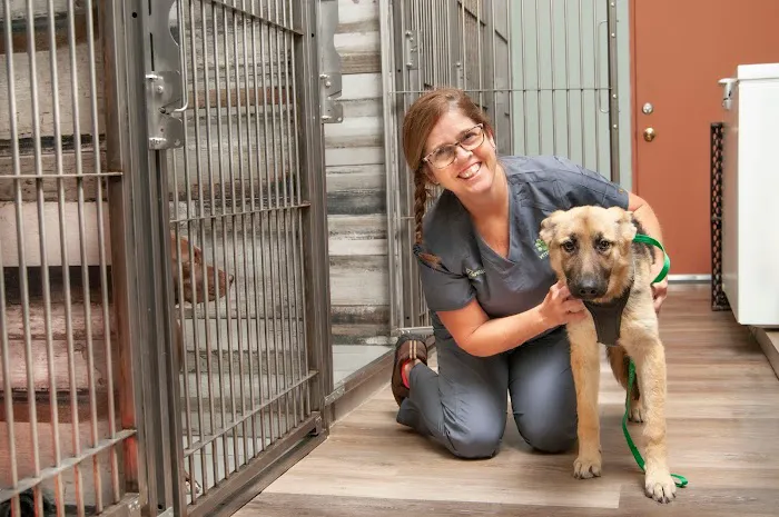 Salt River Animal Hospital Picture 4