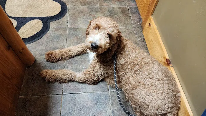 Finchville Animal Hospital Picture 6
