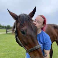 Kentucky Equine Hospital ico