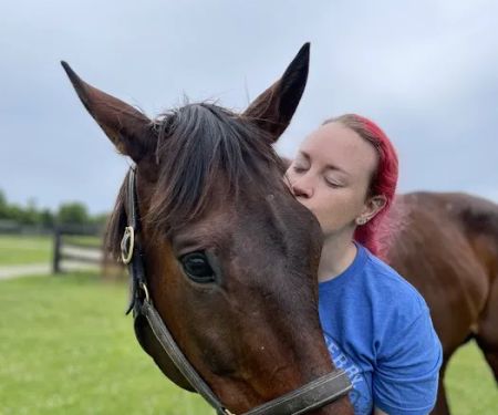 Kentucky Equine Hospital