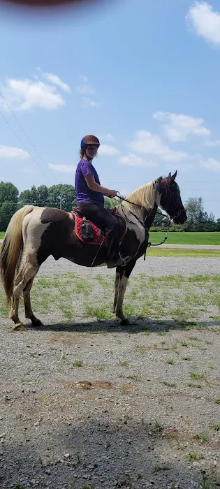 Equine Services, PSC Picture 8