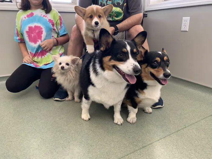 Johnson Veterinary Clinic Picture 4