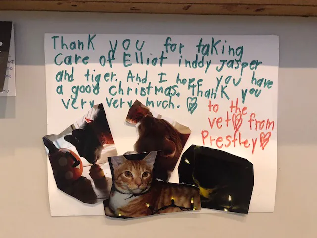 Johnson Veterinary Clinic Picture 5