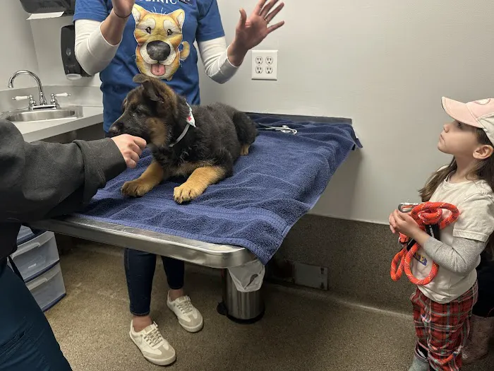 Anthony Animal Clinic Picture 9